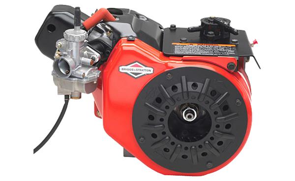 Briggs & Stratton Animal Crate Engines 124332-8003 for sale