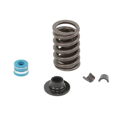 Summit Racing™ Valve Spring and Retainer Kits SUM-174001 for sale