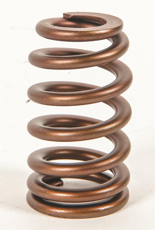 Summit Racing™ Valve Springs SUM-174005 for sale