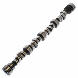 Buy Trick Flow® Track Max® Camshafts for Small Block Chevrolet TFS